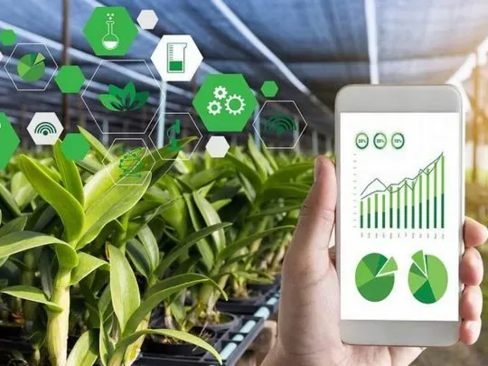 imagen_2024-12-06_094251220