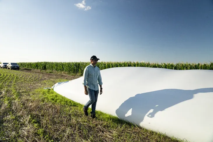 imagen_2024-10-07_084831562