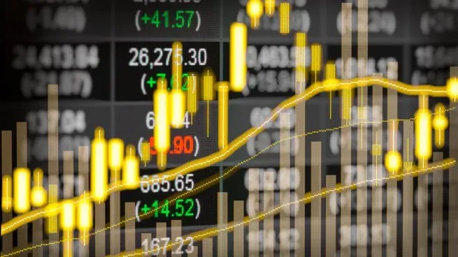 imagen_2024-12-13_100404724