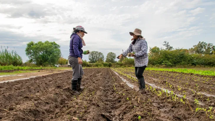 imagen_2024-11-20_103201884