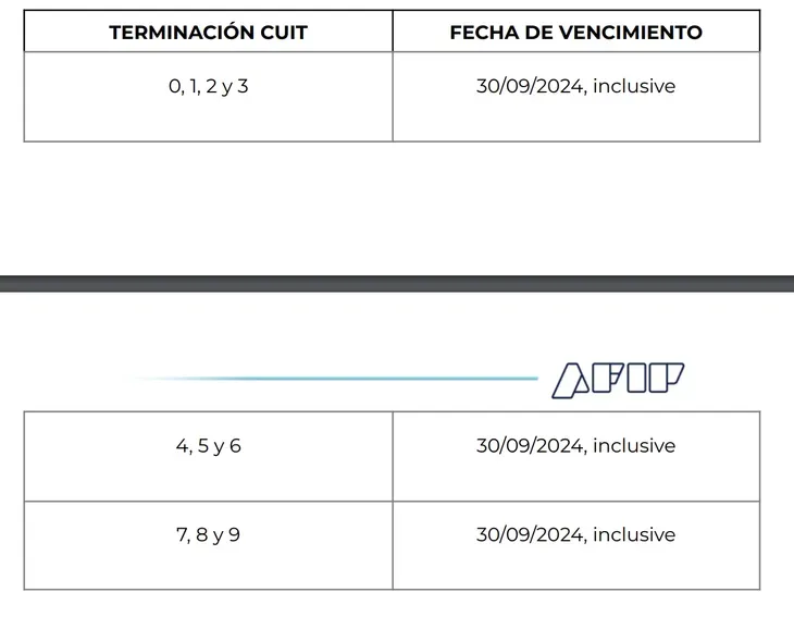 imagen_2024-08-19_083033747