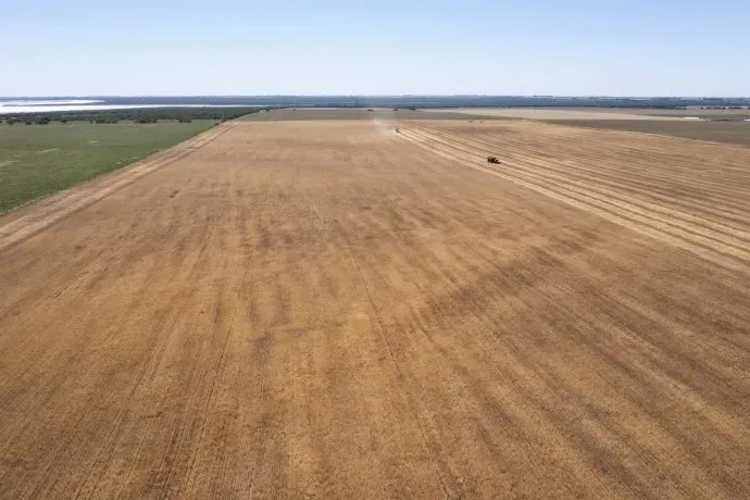 imagen_2024-11-05_093341326