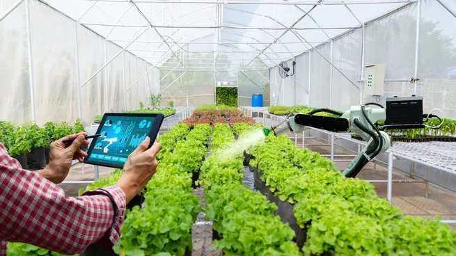 imagen_2025-02-14_103705787