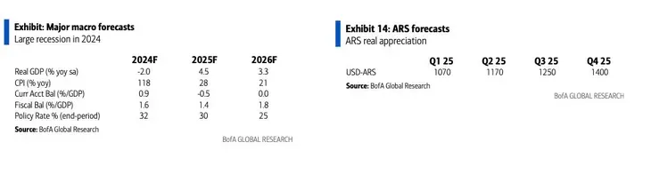 imagen_2025-02-26_102857408